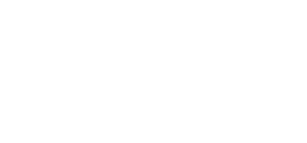 Chaos Rules